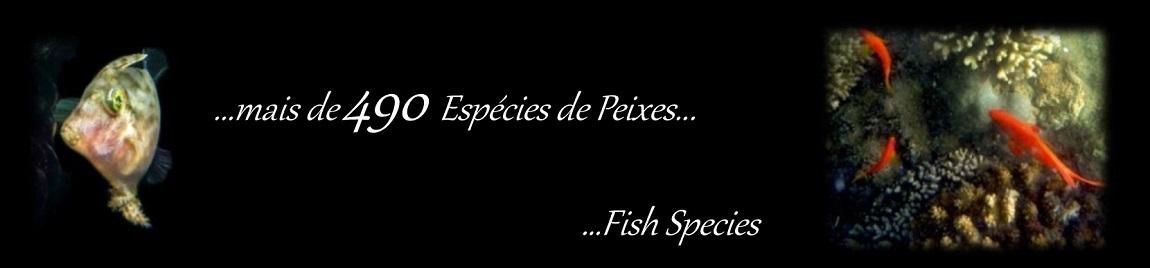 Peixes